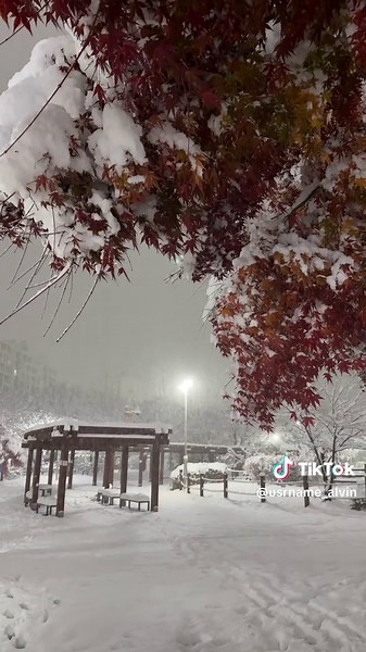 Experiencing the First Snow in Pyeongtaek, South Korea