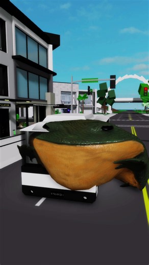 Biggest Frog in Brookhaven?! 🐸 #roblox #brookhaven #robloxfyp #brookhavenroblox #fyp