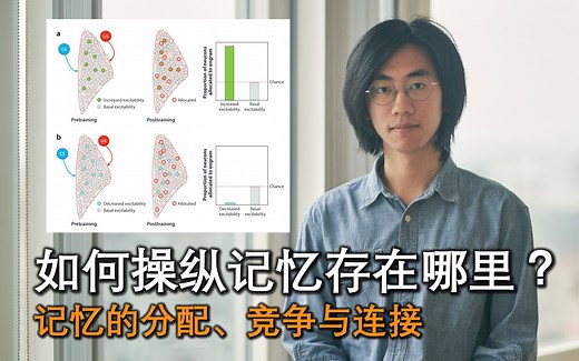 【神经科学101】34 如何操纵记忆存在哪里？记忆的分配、竞争与连接