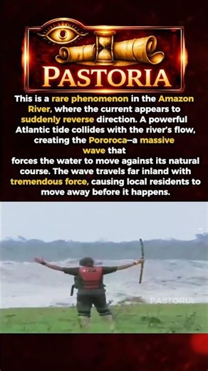 Amazon River Reverses—The Pororoca Phenomenon #history #shorts