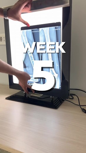 Home Gym Equipment Vlog with Golden Goals & Sphinx Fit