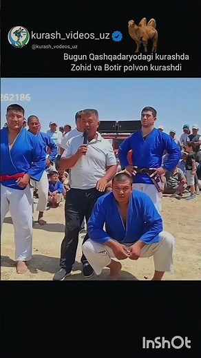 Qashqadaryo va Surxondaryo kurash #sport