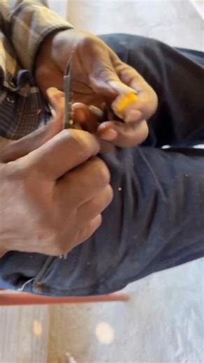 Last year we discovered a tree on the farm and the nuts are delicious! Any guess what kind of tree/nuts? #thecharlestonfarm #farm #alabama | Janie Charleston Clay