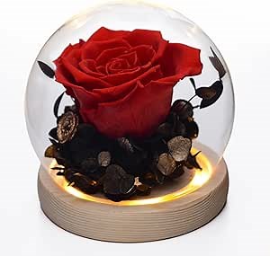 Preserved Flowers Roses Gifts for Women - Fresh Flowers Forever Roses with Long-Lasting, Birthday Gift, Mothers Day, Christmas, Flowers for Delivery with LED Lights (Bright red, 4.5in)