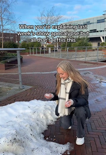 Creative Snowman Building in the Netherlands