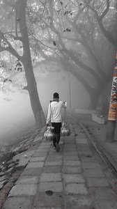 Foggy Morning vibes 🥶 | Bristy Photography