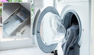 Washing machines: Expert says to clean with dishwasher tablet
