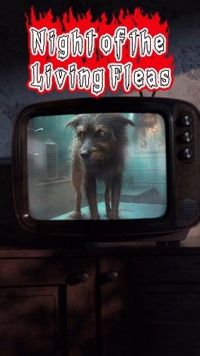 The fleas were having a rave. The ticks arrived. And I still had to finish the groom. Night of the Living Fleas. #petstylist #doggrooming #doggroominglife #groombox | GroomBox LLC