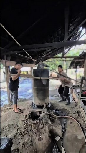 Proses Penyulingan Daun Nilam untuk Menghasilkan Minyak Nilam Berkualitas