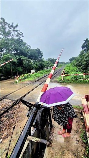 Inside a Railway Crossing Mechanism! #shorts #automobile #train