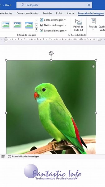 How to Make Images Larger or Smaller in Word