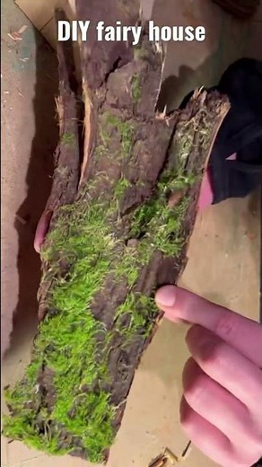 DIY Fairy tree house in the woods #fairyhouse #fairyhome #feenhaus #diyfairyhouse