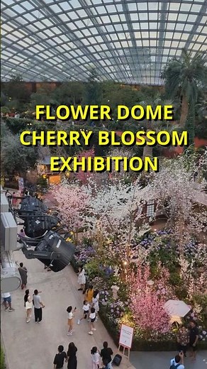 Flower Dome Singapore: What's Actually Inside One of the World's Largest Greenhouses