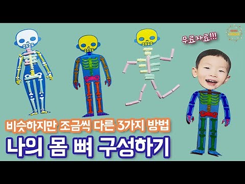 나의 몸 뼈 구성하기 - 어린이집 미술 / 유치원 미술 / 집콕미술 / 초등미술 / 엄마표 미술 / 무료도안 / 노인미술 / 팅은샘의미술놀이 / 나와가족 미술 / 5월미술