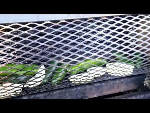 Homemade Mini Chile Roaster