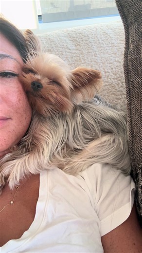 Exploring the Heartwarming Bond with Teacup Dogs