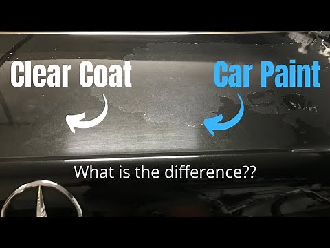 Car Paint vs. Clear Coat: What is the difference between car clear coat and car paint?