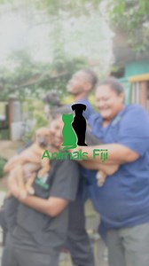 Welcome to Animals Fiji, a registered Fiji and U.S. 501(c)(3) charity with a focus on animal welfare. We provide veterinary treatment, animal welfare services, and education to people throughout Fiji. Join the cause and let’s continue building a lifeline for animals 💚🇫🇯🐾 https://www.animalsfiji.org/ Nadi: ( 679) 993-6647 Lautoka: ( 679) 998-2026 Savusavu & Labasa: ( 679) 998-6253 #animalsfiji #buildingalifelineforanimals #animalwelfare #animalrescue #animalcharity #animalcruelty #shelterchar