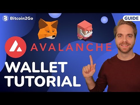 Avalanche (AVAX) Wallet Tutorial (MetaMask) + AVAX Bridge Airdrop & Börse (Trader Joe)