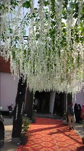 function12 November 2025