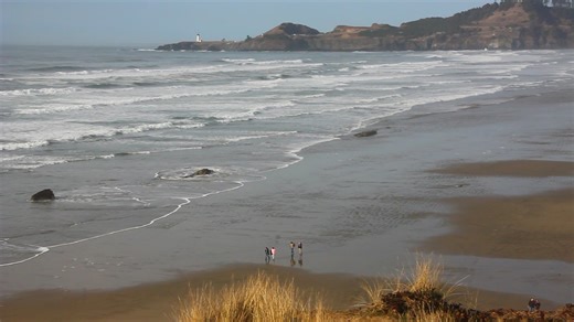 15K views · 709 reactions | Central #OregonCoast: at Newport's Nye Beach atop Jump-Off Joe, looking down on the vague remnants of the first Jump-Off Joe. Taken before this Joe crumbled. More https://www.beachconnection.net/news/old_joe_newport_history052521.php #OregonCoastBeachConnection | Oregon Coast Beach Connection | Facebook