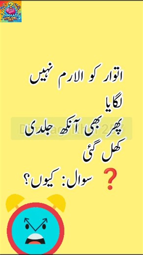 Sunday Sleep Reality 😂 | Mazahia Urdu Short | Dimaagi Khel 257