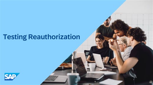 Testing Reauthorization in Open Payment Framework for SAP Commerc