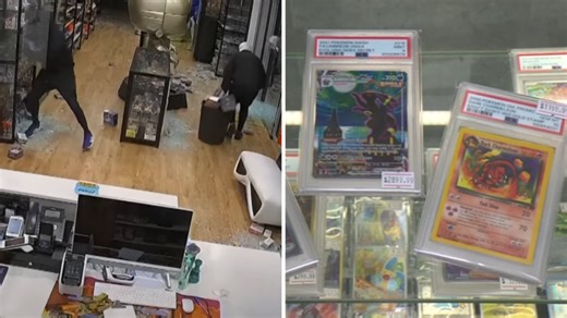 Police apprehend trading card thief