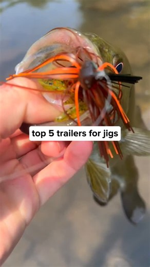 Fishing Logic HQ on Instagram: "I stopped guessing the best lure colors for fall the day I read this guide by a pro angler. Fall bass fishing isn’t luck — it’s understanding water clarity, light conditions, and how bass react in cooler water. Want to catch more bass this fall? 👉 The full fishing lure guide is in the link in bio. #bassfishing #fallfishing #fishinglures #basslures #anglerlife fishingtips fishingreels kayakfishing catchmorebass fishingguide fishingknowledge"