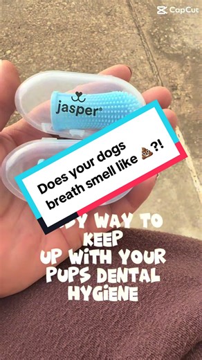 Discover 360° Dog Toothbrushes for Fresh Breath
