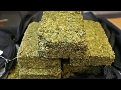 Mexican Brick Weed Era: The Rise & Fall of a Smuggler’s Gold (1980s–1990s) 🧱