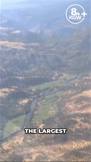 Klamath basin irrigation managers say return of salmon has brought new challenges