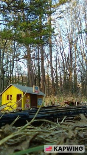 DVCRR #79 w/ SCL RDC-1 #201 by Moped Building HO Scale DVCRR Layout!!!