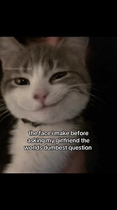 The Face I Make Before Asking a Silly Question