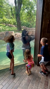 Playful bear has a blast bouncing along with kids 🐻😍 | Animal Lovers