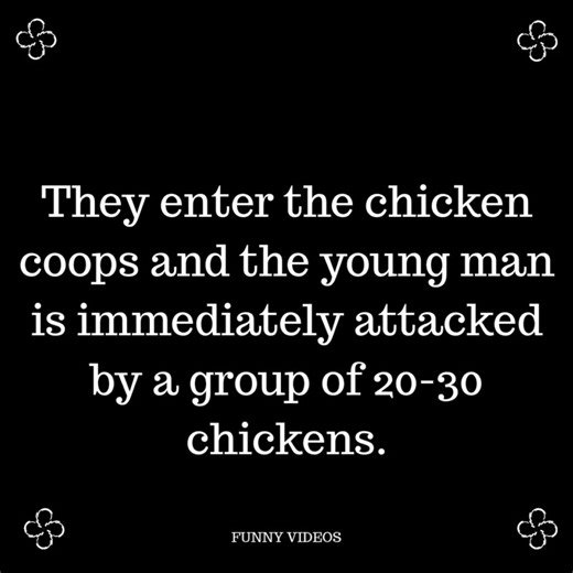 FUNNY VIDEO | Comedy Company