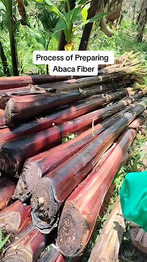 Happy to witness this kind of work 😀✨