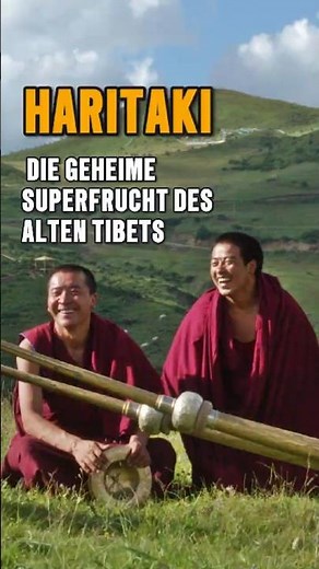 „Haritaki – Die geheime Superfrucht des alten Tibets“