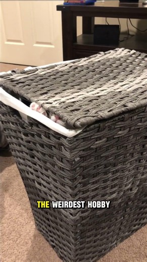 4 Facts About Cats Behavior and Their Weirdest Hobbies
