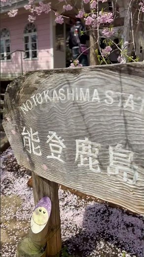 能登半島。能登鉄道鹿島駅。通称桜駅に桜と電車を撮りに車を走らせました。 #shots #たんたんの冒険日記 #さくら駅#能登鉄道鹿島駅#桜と電車#撮り鉄#絶景