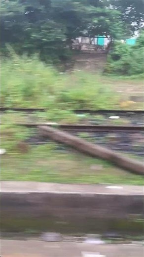 #qawwali #quotes #mashaallah #