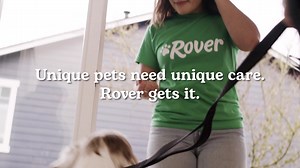 6.1M views · 10K reactions | Download Rover and connect with trusted pet sitters and walkers in your area. | Rover.com | Facebook