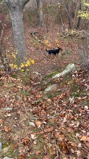 Rebecca Clark on Reels