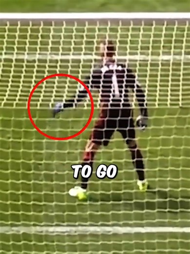 The Goalkeeper's Costly Mistake in Soccer Match