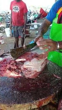 filleting big and fresh tuna #shorts #fishcutting #fyp