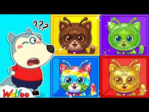 Jelly & Gold Cats & a Lesson in Jealousy | Wolfoo Show-off - Bright Parents | Cartoon For Kids 🐱