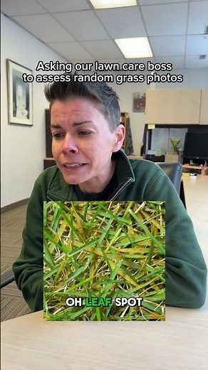 How to Diagnose Lawn Problems | Identifying Common Grass Damage & Stress