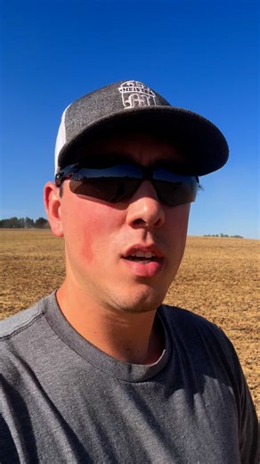 How they harvest soybeans! #harvest #case #combine | FarminwithTrev