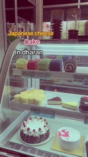 Ep4#minivlog #dharan#manjibakeryandcafe