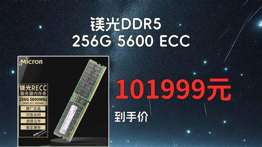Mirox内存_镁光Micron 原厂DDR5 ECC RDIMM REG 服务器工作站内存条适配华为 256G DDR5 5600 RECC